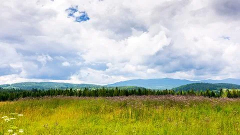 Landscape in mountains with distant forest behind the green field Stock Photos