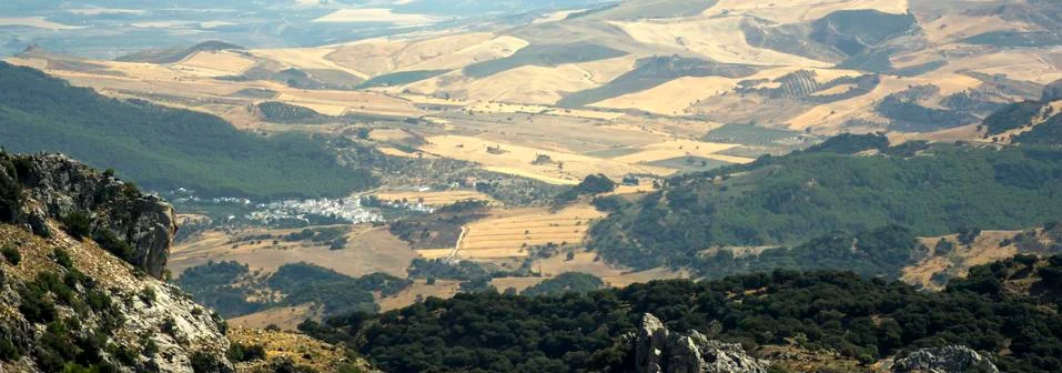 Landscape of mountains with fields planted in the background Foto stock