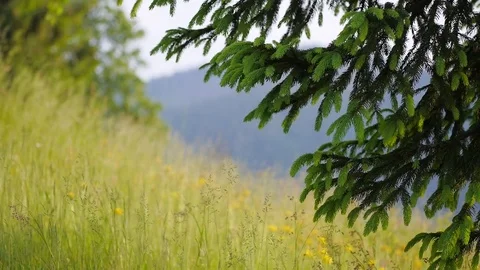 Landscape in the mountains. Video stock 75167925