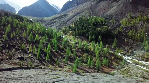 Landscape in the mountains Stock Footage 163393061