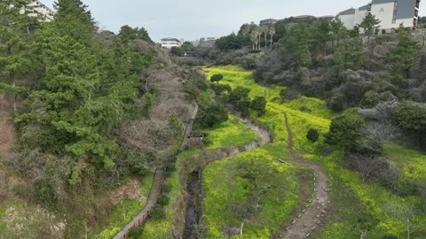 Landscape in the mountains Stock-Footage 310298734