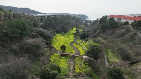 Landscape in the mountains 스톡 동영상 310298737