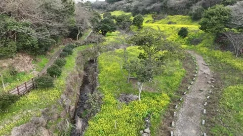 Landscape in the mountains 스톡 동영상 310298744