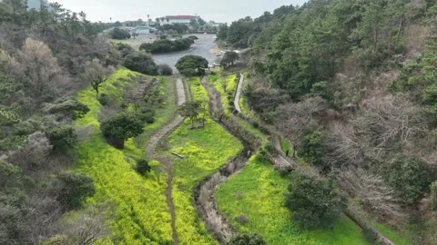 Landscape in the mountains 스톡 동영상 310298751