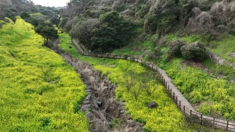 Landscape in the mountains Video stock 310298782