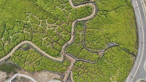 Landscape in the mountains 스톡 동영상 310298786