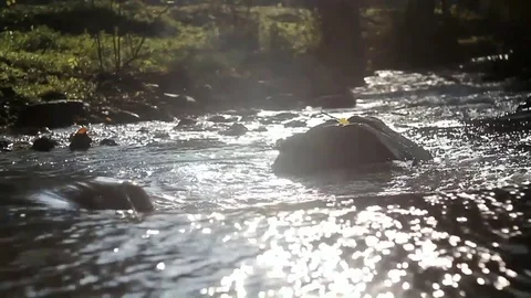 Landscape with mountains, forest and a river in front. beautiful scenery Stock Footage 82398195