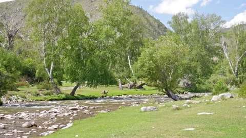 Landscape with mountains, forest and a river in front. Stock Footage 171243838
