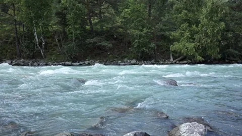 Landscape with mountains, forest and a river in front. beautiful scenery nature  Stock Footage 265481187