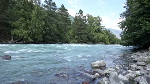 Landscape with mountains, forest and a river in front. beautiful scenery nature  Stock Footage 265481191