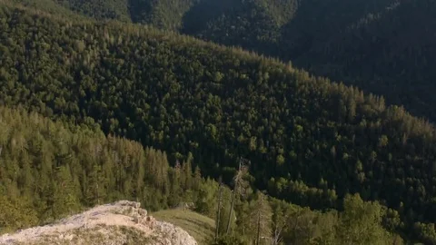 Landscape in the mountains. Forest. Sky Video stock 72588005