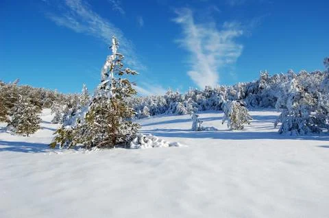 Landscape in the mountains Stock Photos