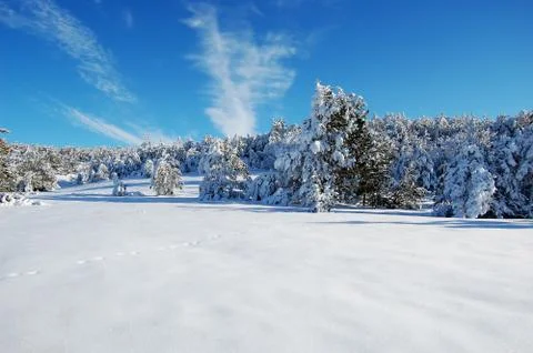 Landscape in the mountains Stock Photos
