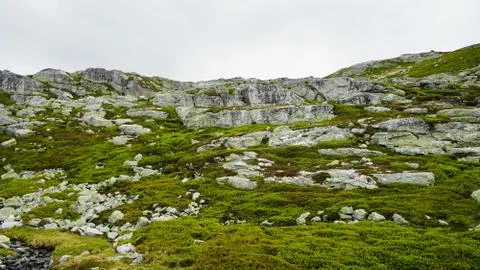 Landscape in the mountains . Stock Photos