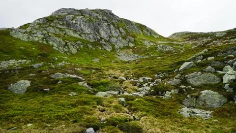 Landscape in the mountains . Stock Photos