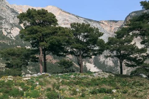 Landscape in the mountains Foto stock