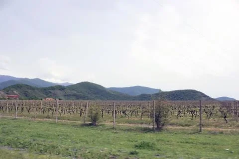Landscape in the mountains Foto stock