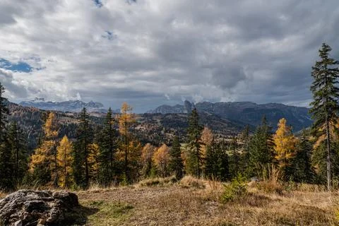 Landscape by the mountains Stock Photos