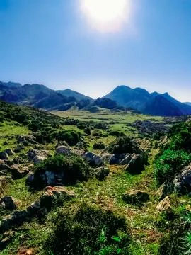 Landscape in the mountains Stock Photos
