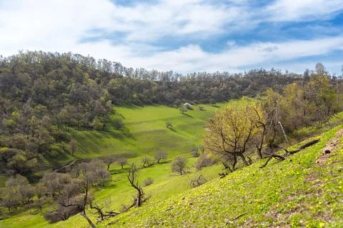 Landscape in the mountains Stock Photos