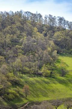 Landscape in the mountains Stock Photos