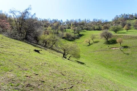 Landscape in the mountains Stock Photos