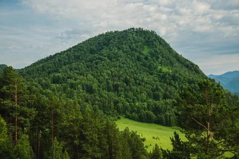 Landscape of mountains in summer Stock Photos