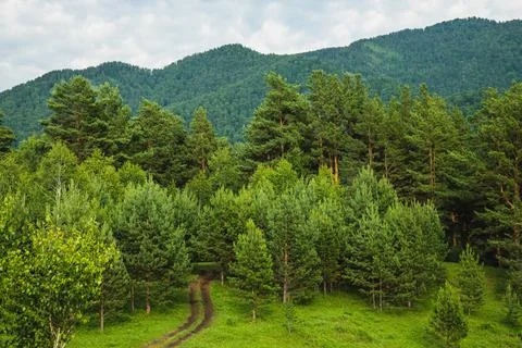Landscape of mountains in summer Stock Photos