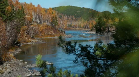 Landscape with mountains trees and a river in front 스톡 동영상 60020172