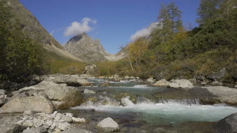 Landscape with mountains trees and a river in front Stock Footage 96337023