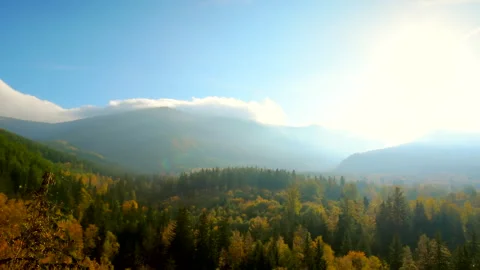 Landscape mountains with trees, blue sky, sunny day. Calm natural scene. Stock Footage 253109388