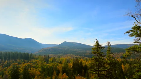 Landscape mountains with trees, blue sky, sunny day. Calm natural scene. Stock Footage 253216448