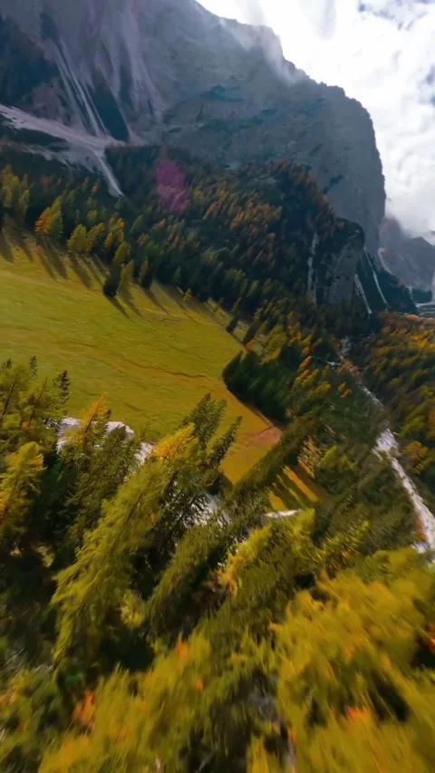 Landscape in the mountains with trees Stock Footage 273073825