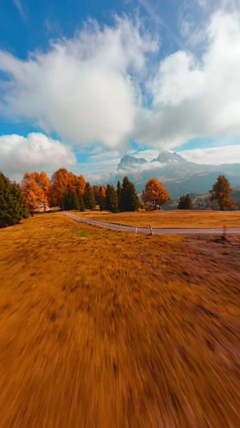 Landscape in the mountains with trees Stock Footage 273076137