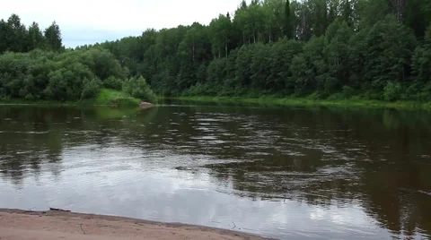 Landscape - the mouth of the river, fast current, forest shores Stockbeeldmateriaal 52485685