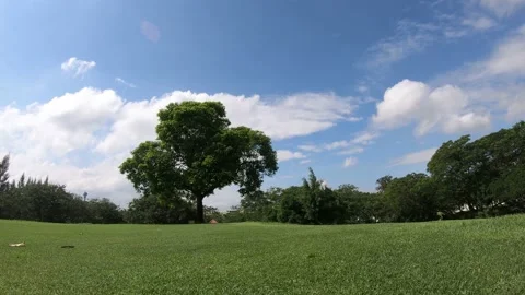 Landscape, the movement of the clouds Stock Footage 142310995