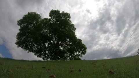 Landscape, the movement of the clouds Stock Footage 142311039