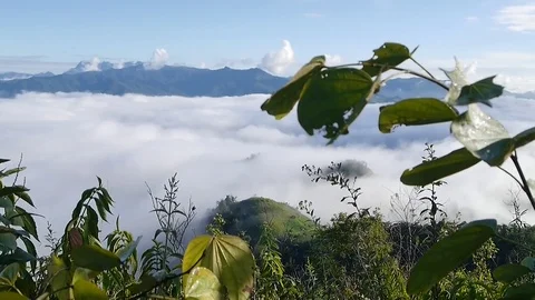 Landscape of moving mist in the mountain at Doi-Montngo, Chiang Mai –Thailand Stock Footage 69774423