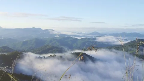 Landscape of moving mist in the mountain at Doi-Montngo, Chiang Mai –Thailand Stock Footage 69774902