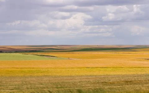 Landscape of multicolored fields with different crops Foto stock