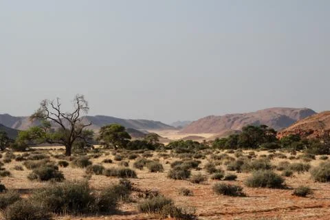 Landscape in namibia Stock Photos