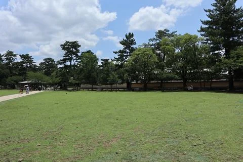 Landscape of Nara Park Stock Photos