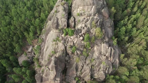 Landscape in the national park 库存影片 200857897