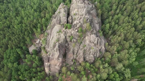 Landscape in the national park 库存影片 200857909