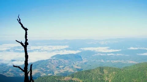 The landscape nature background with forest and big mountain 動画素材 146073408