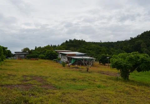 Landscape Nature of the fields, mountains, orchards with rainy season in Pong Stock Photos