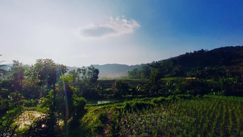 Landscape of nature Stock Footage 272709457