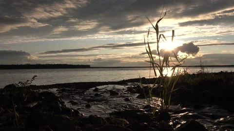 Landscape Nature. Mountain stream Stock Footage 136032024