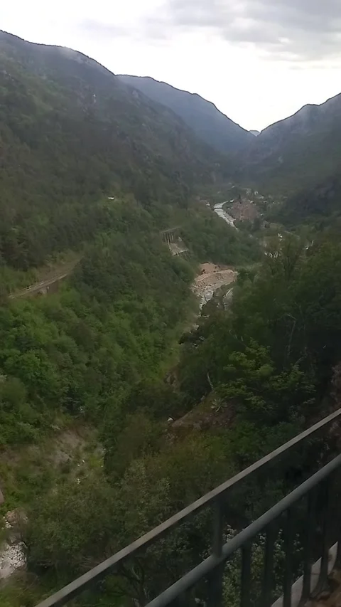 Landscape of the nature from the train Stock Footage 309009758