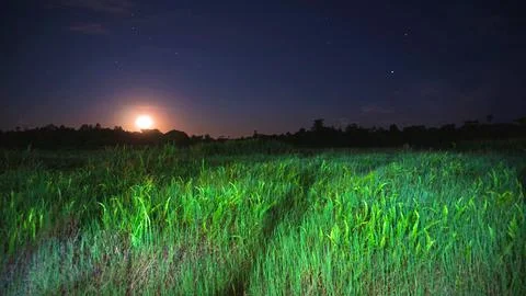 Landscape Night Stock Photos